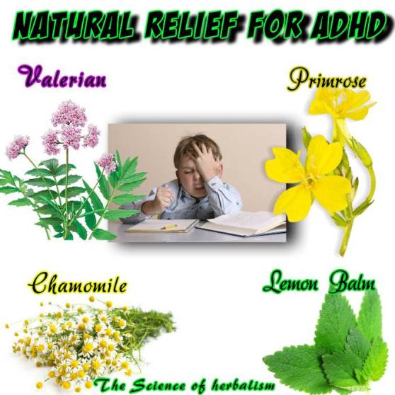 Natural Relief for ADHD